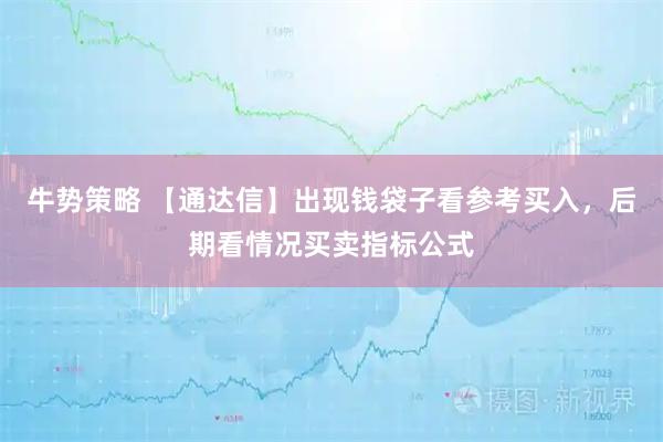 牛势策略 【通达信】出现钱袋子看参考买入，后期看情况买卖指标公式