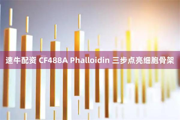 速牛配资 CF488A Phalloidin 三步点亮细胞骨架