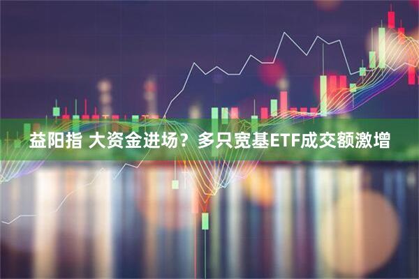 益阳指 大资金进场?多只宽基ETF成交额激增