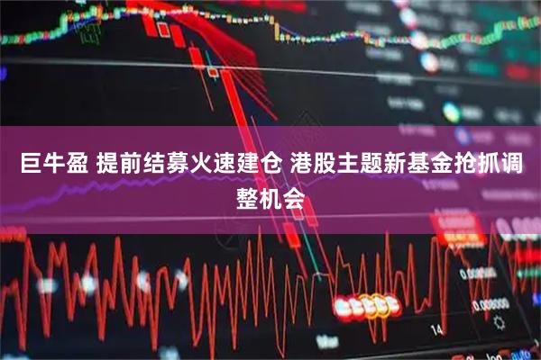 巨牛盈 提前结募火速建仓 港股主题新基金抢抓调整机会